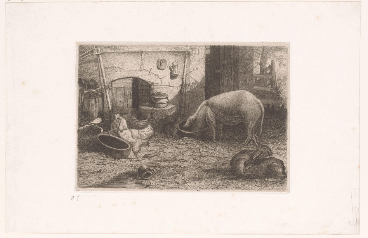 Possua, kanoja ja kaneja navetassa tekijältä Auguste Numans (attributed to)