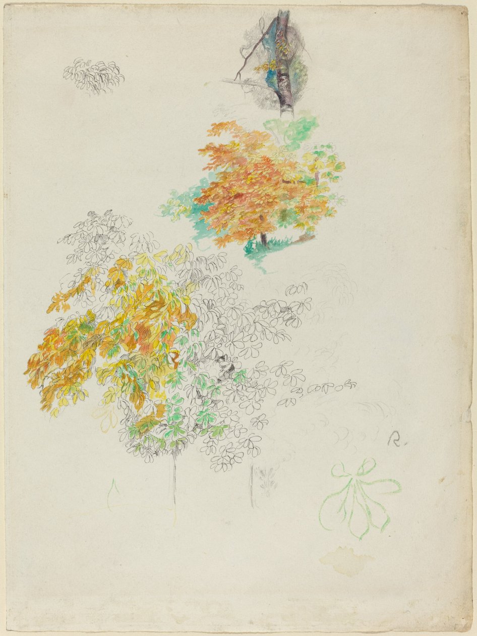 Puiden tutkimukset tekijältä Auguste Renoir