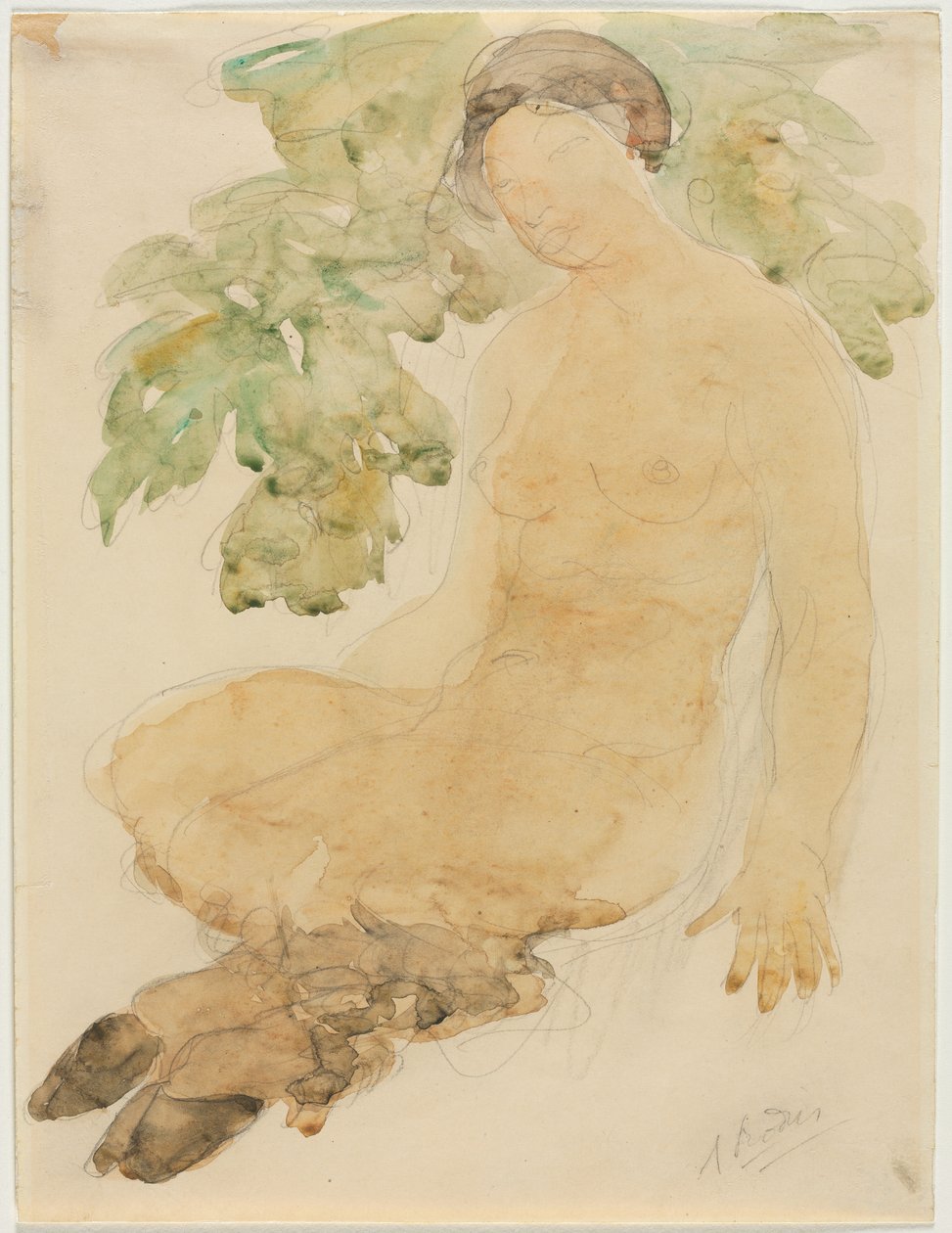Faunesse, noin 1905 (akvarelli grafiitin päälle). tekijältä Auguste Rodin