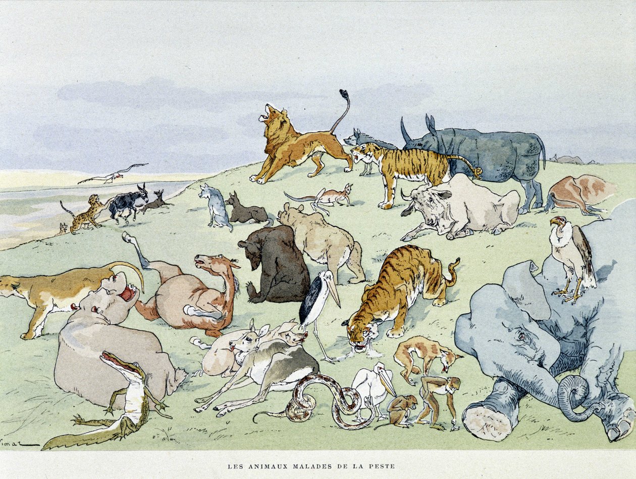 Ruttoon sairaat eläimet ”” Les Fables de la Fontaine”, sairaat. kirjoittanut Auguste Vimar (1851-1916), Tours, A, Mame & Son tekijältä Auguste Vimar