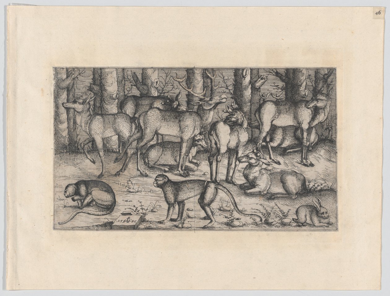 Hirvet metsässä, 1545. tekijältä Augustin Hirschvogel