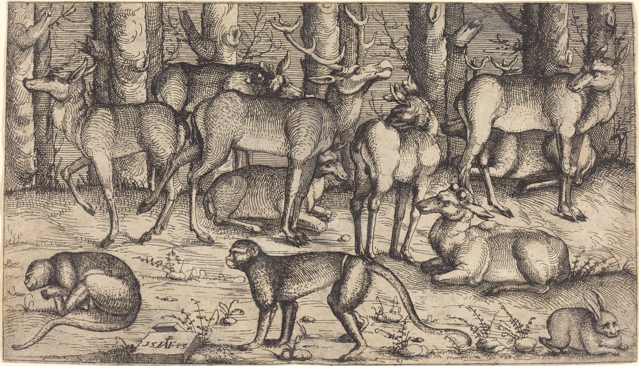 Hirvet metsässä, 1545. tekijältä Augustin Hirschvogel