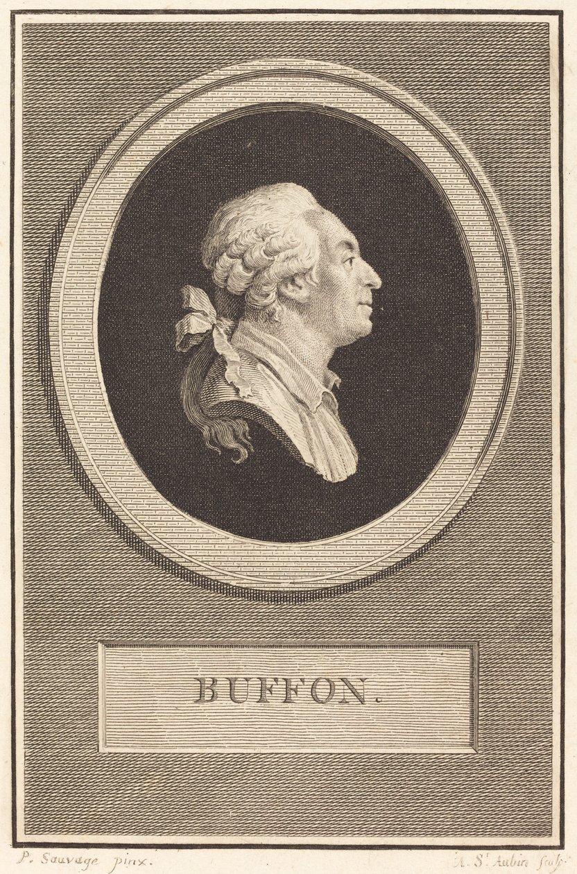 Buffon tekijältä Augustin de Saint Aubin after Piat Joseph Sauvage