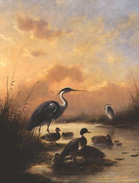 Mallardin ja kahden haikaran perhe (77887-pari) tekijältä Augustus Knip