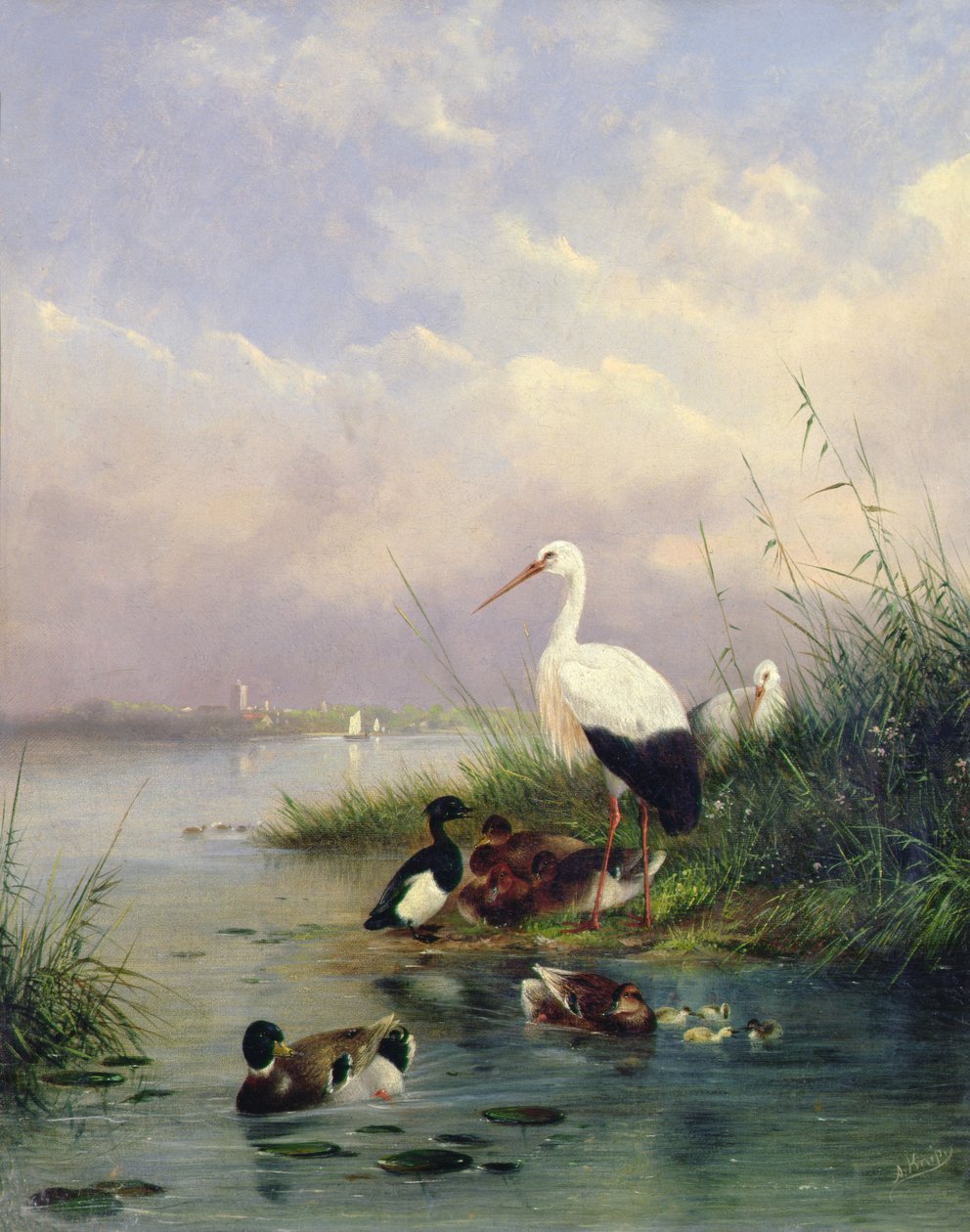 Sinisorsan perhe, kaksi haikaraa ja tuftausankkaperhe (77886 pari) tekijältä Augustus Knip