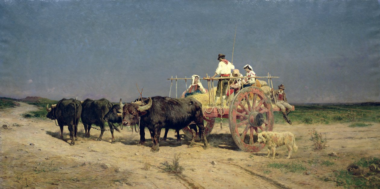 Buffalo by the Beach -vaunu tekijältä Aurelio Tiratelli