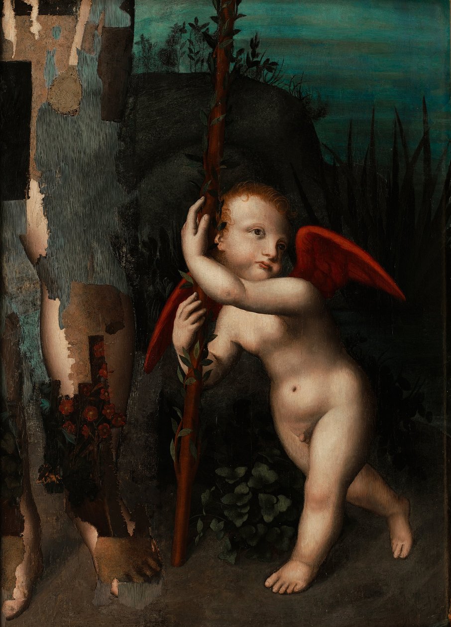 Amor myrtillä, ennen vuotta 1593 tekijältä Aurelio Luini