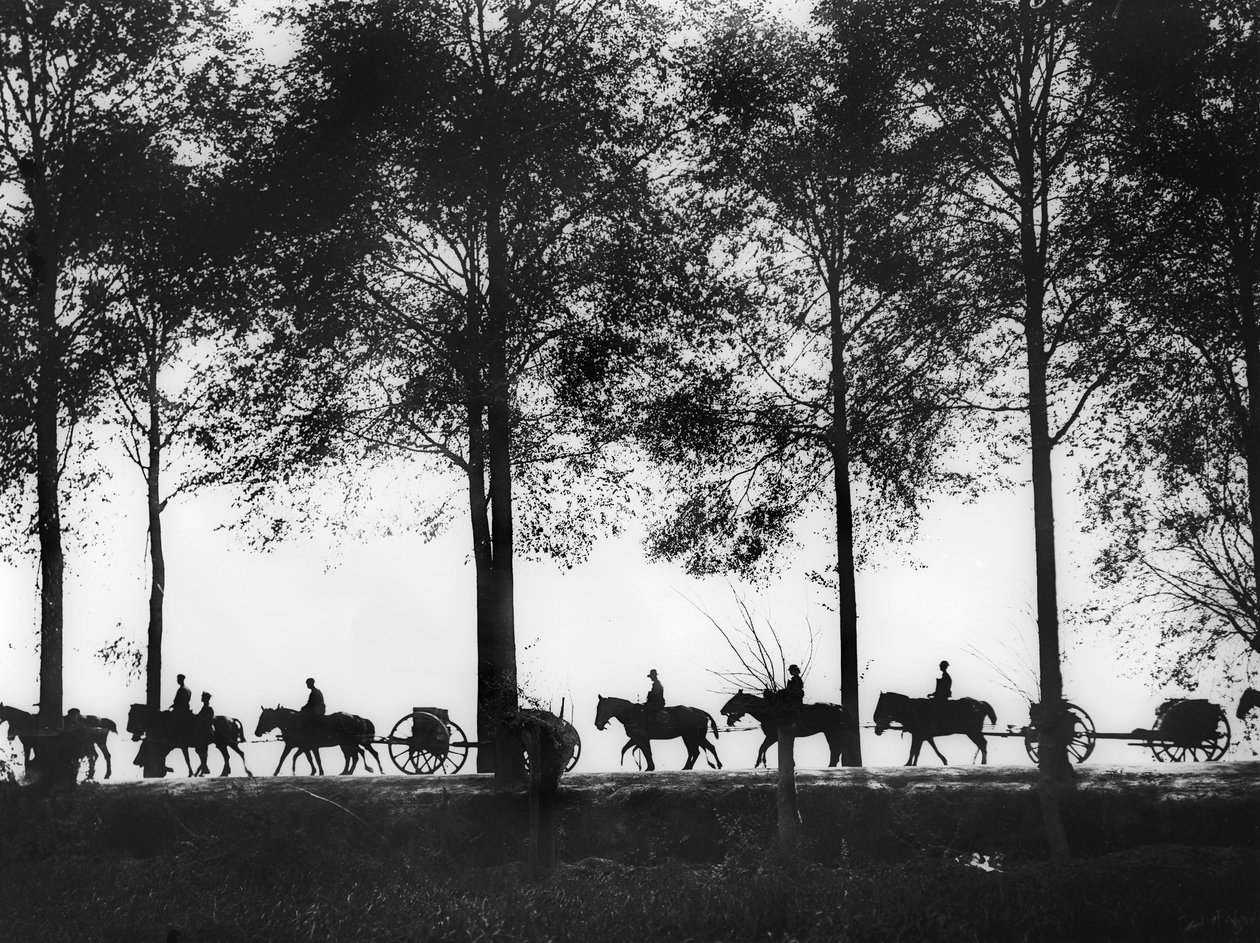 Näkymä siluetissa australialaisista ammuksilla ladatuista tykistöistä, jotka etenevät pitkin Ypres Roadia, 25. syyskuuta 1917 tekijältä Australian Photographer