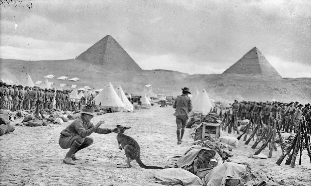 Australian 9. ja 10. pataljoonan linjat Menan leirillä, katsoen kohti pyramideja, joulukuu 1914 tekijältä Australian Photographer