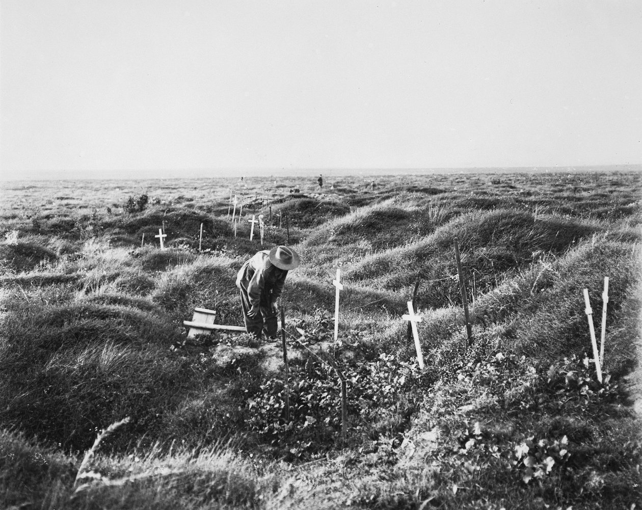 Näkymä hajallaan olevista australialaisista haudoista OG1-linjalla Pozieresin taistelukentällä, 16. syyskuuta 1917 tekijältä Australian Photographer