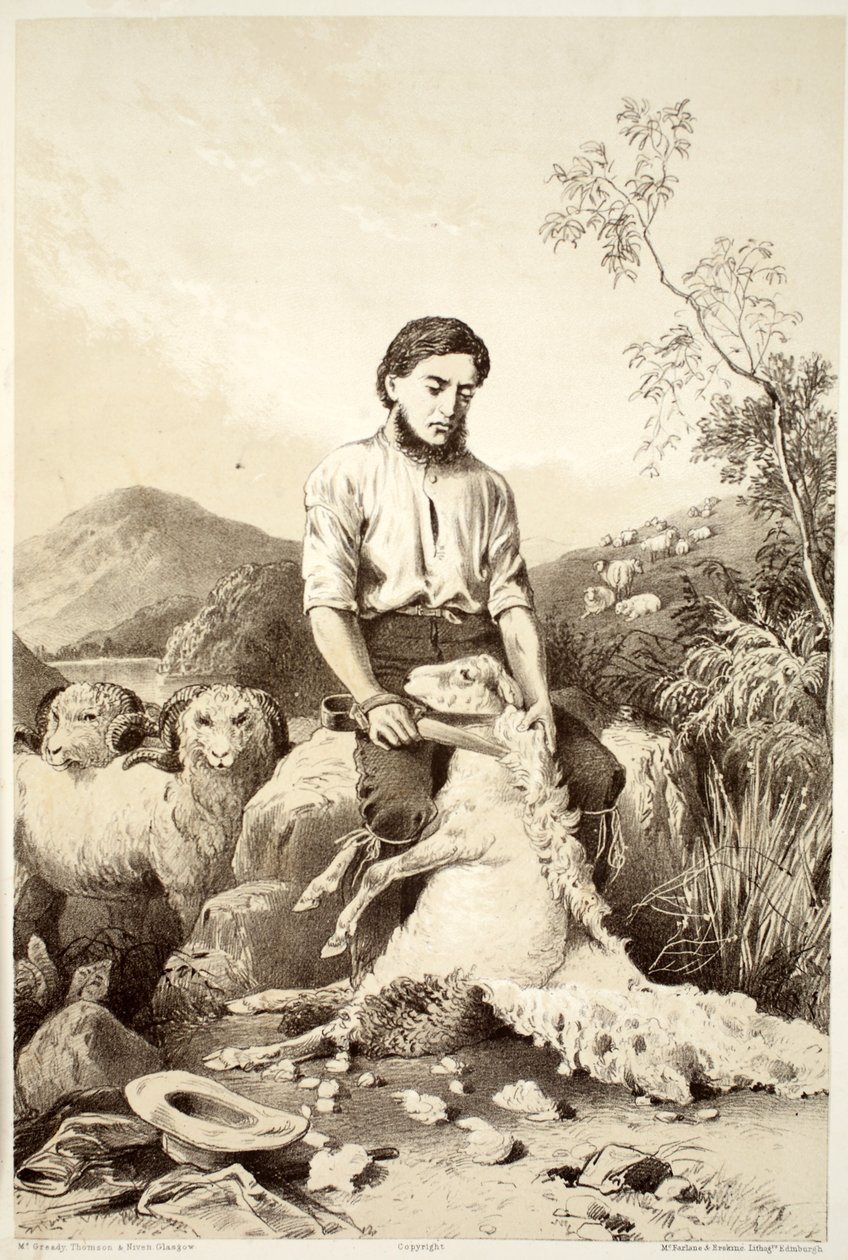 Lammasleikkaus, David Blairin, McGradyn, Thomsonin ja Nivenin Australasian historiasta, 1879 tekijältä Australian School