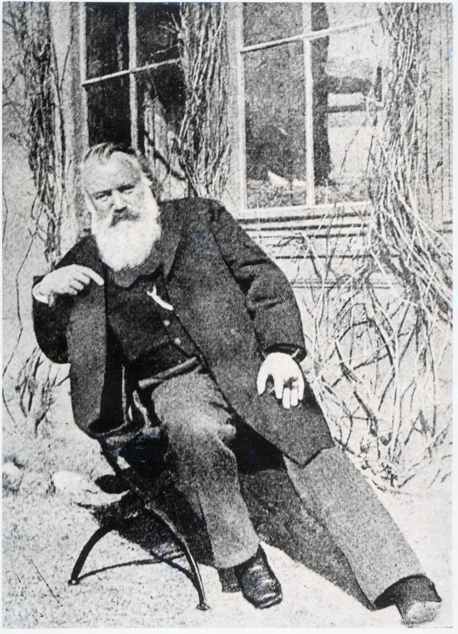 Johannes Brahms, n. 1897 tekijältä Austrian Photographer
