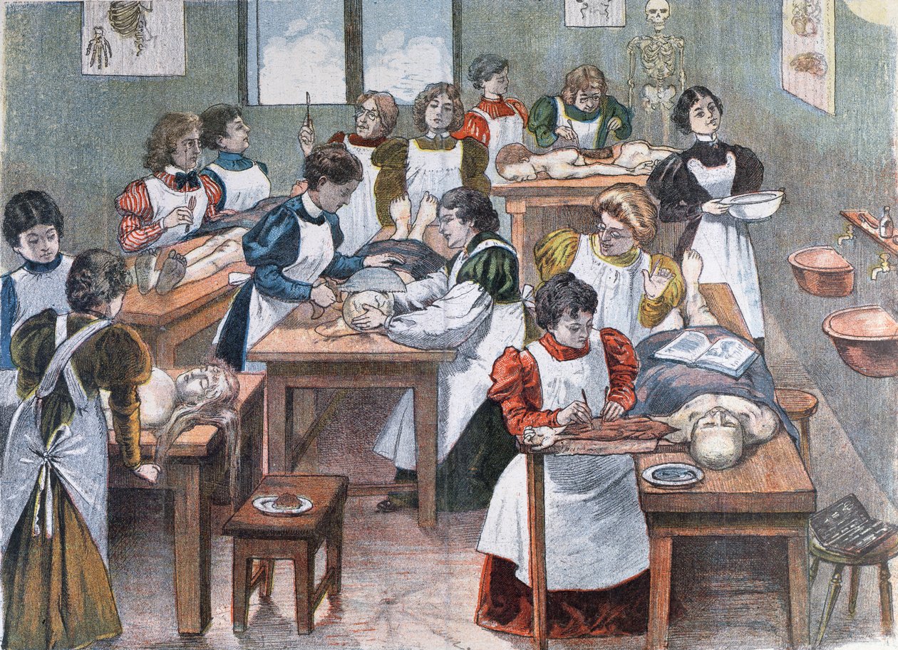 Naisopiskelijat anatomiainstituutissa New Yorkissa, 1897 tekijältä Austrian School