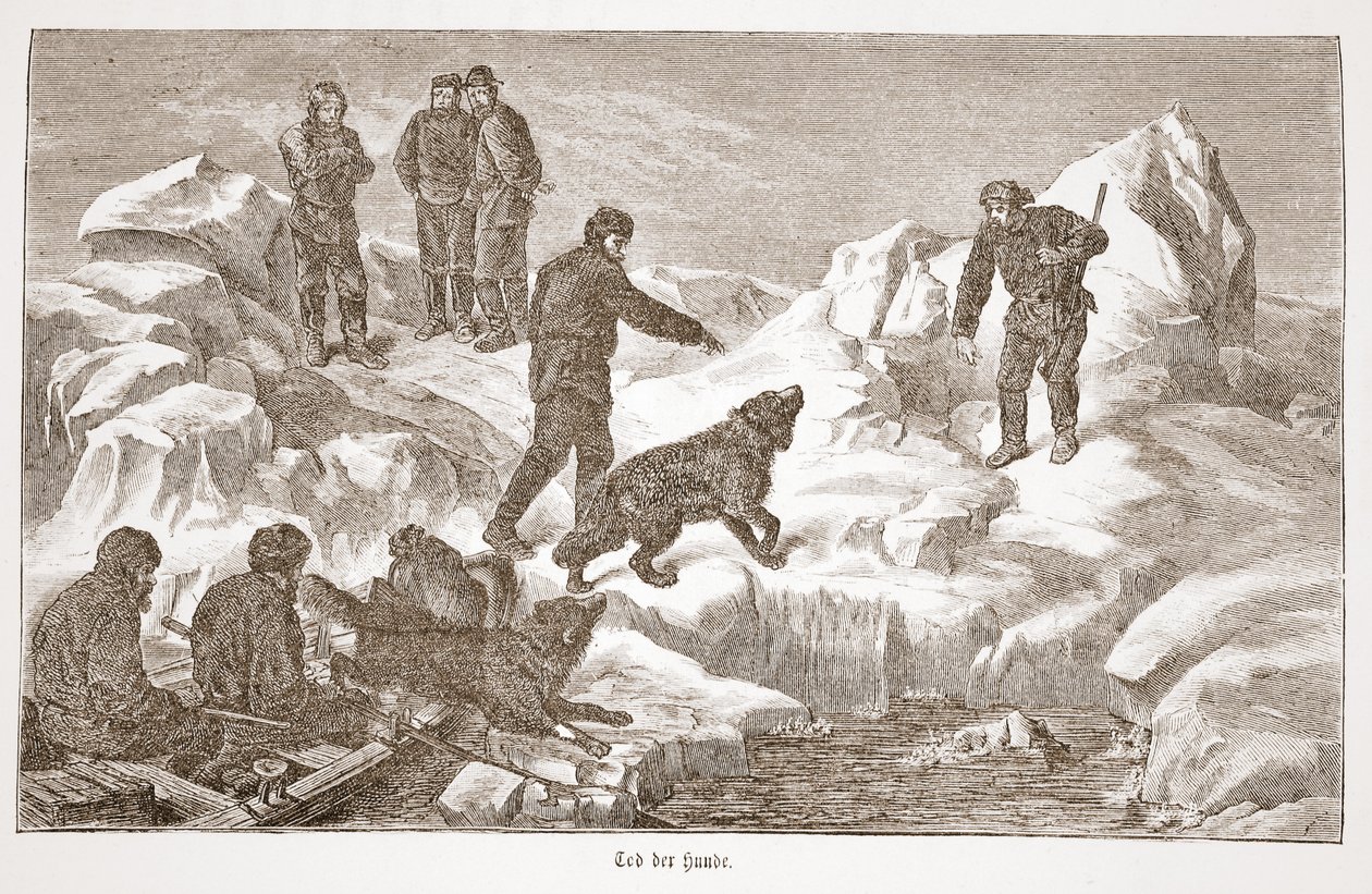 Metsästys koirien kanssa, 1876 tekijältä Austrian School