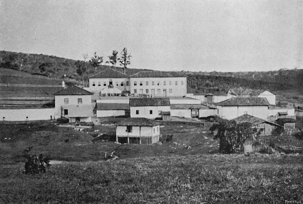 Sete Quedas Farm Campinas, Sete Quedas Farm, 1895 tekijältä Axel Frick