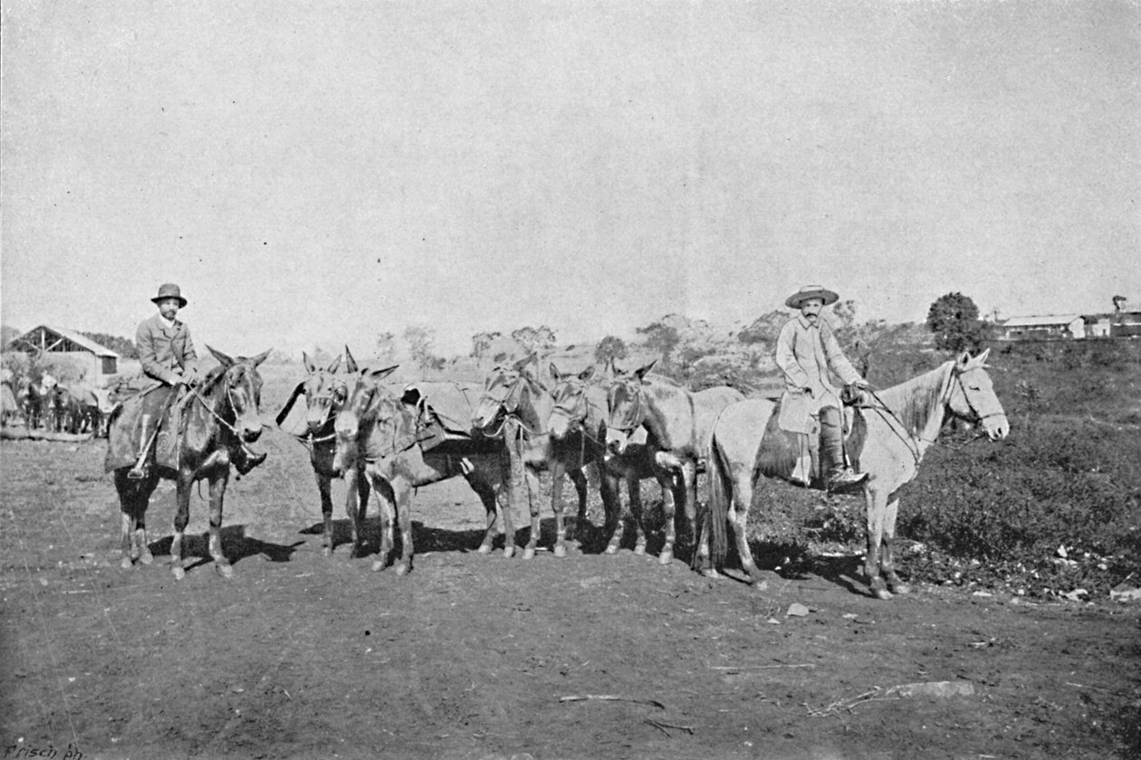 Negociantes do Interior, Traders of the Interior, 1895 tekijältä Axel Frick