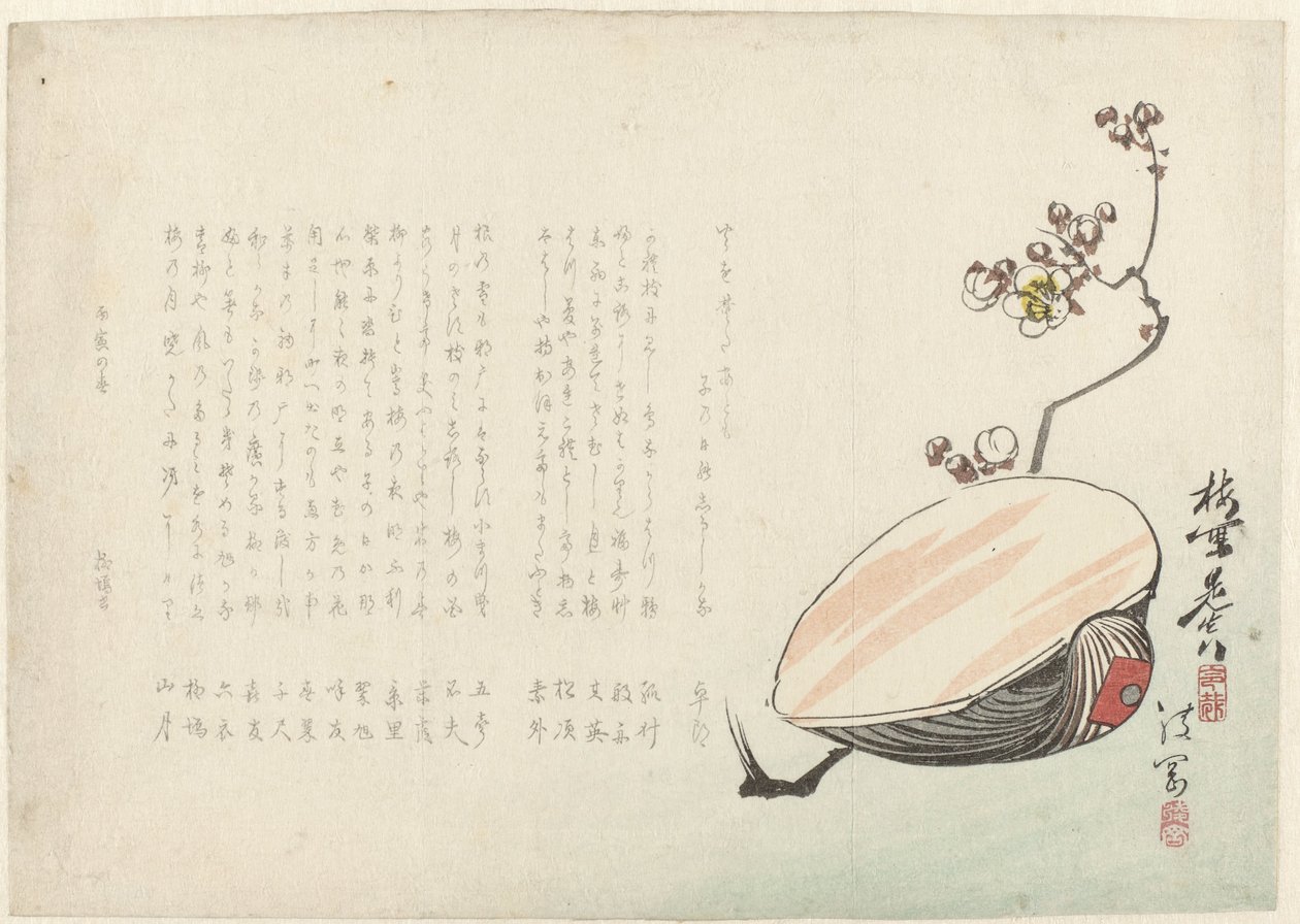 Kuori tekijältä Ayaoka Yûshin