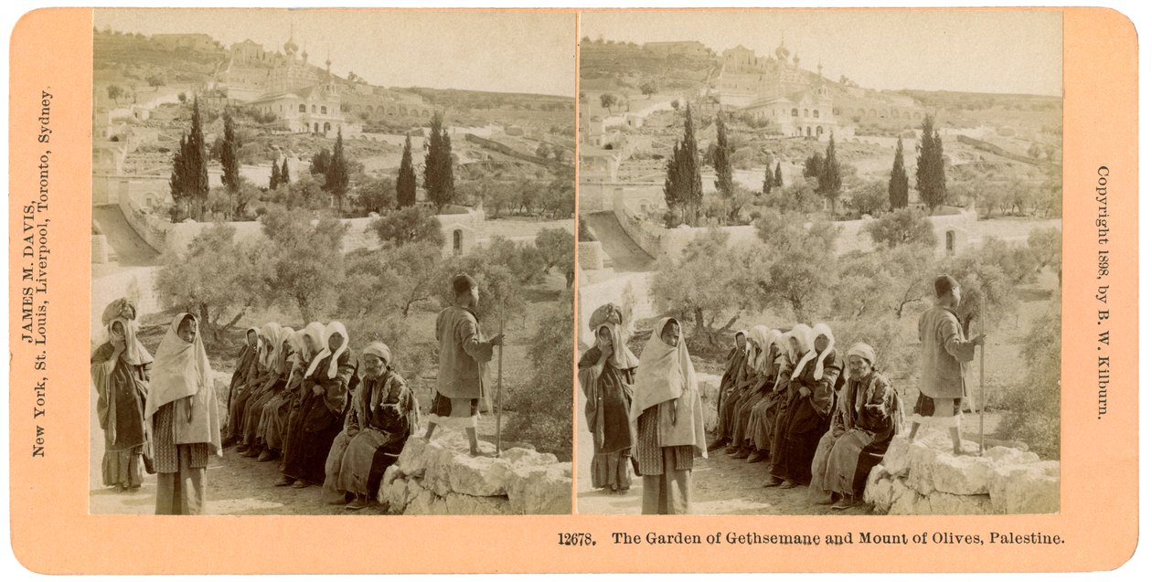 Getsemanen puutarha ja Öljymäki, Palestiina, 1898. tekijältä B. W. Kilburn