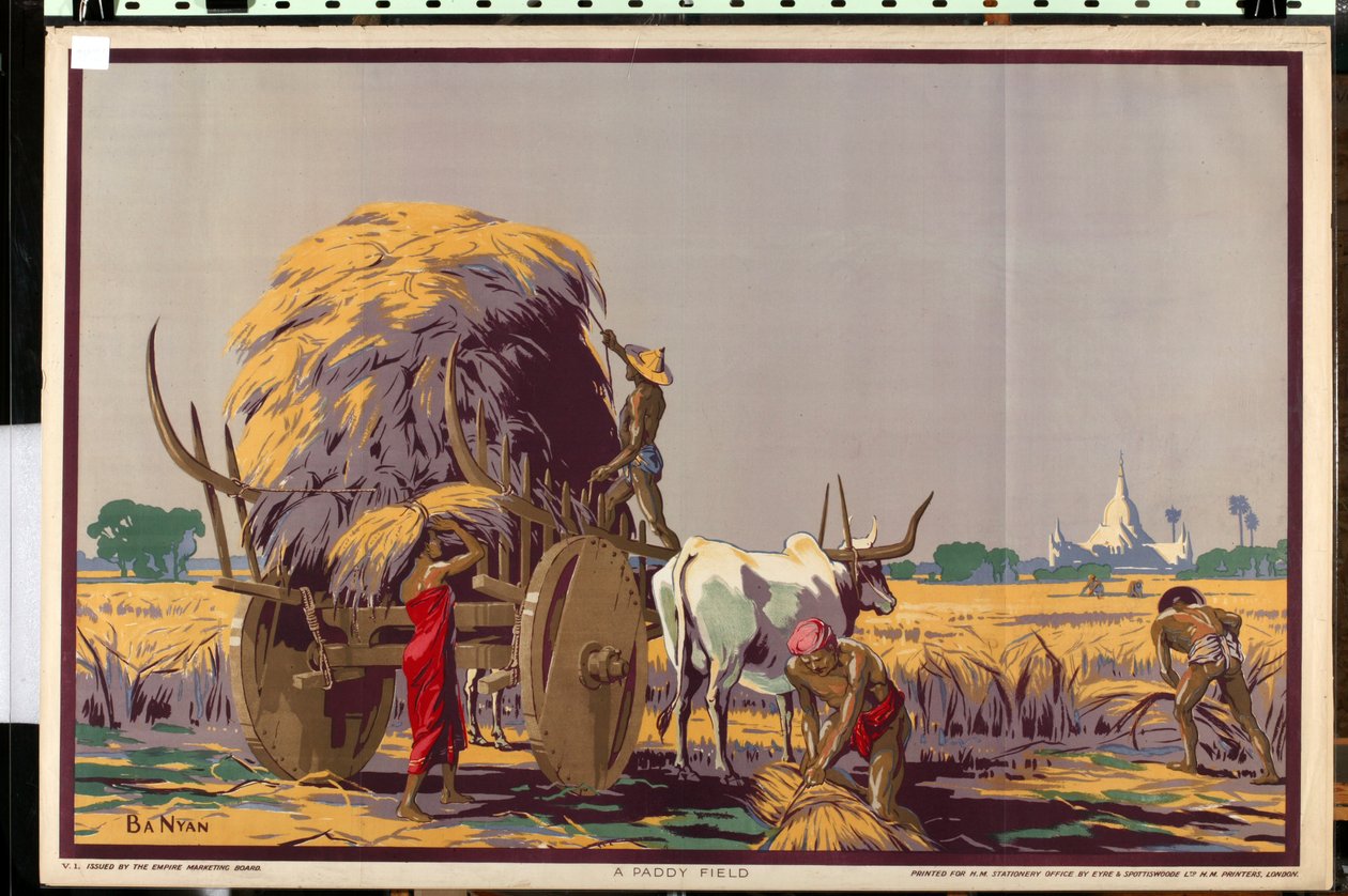 Paddy Field, sarjasta "Burma: A Rich Resources" (väri litho) tekijältä Ba Nyan