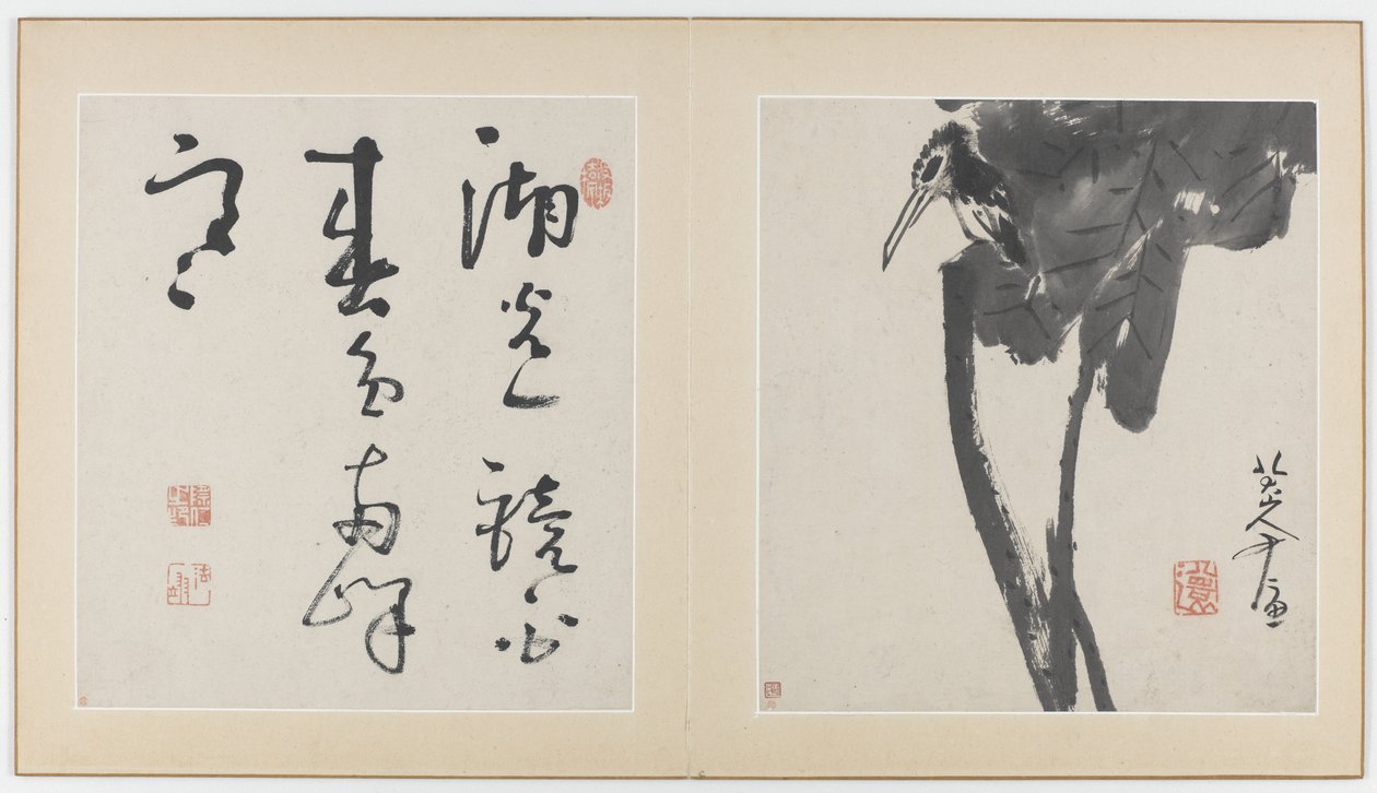 Sivuja kukkia, lintuja, hyönteisiä ja kaloja esittävästä albumista, Qing-dynastia, 1688-89 (muste paperille). tekijältä Bada Shanren