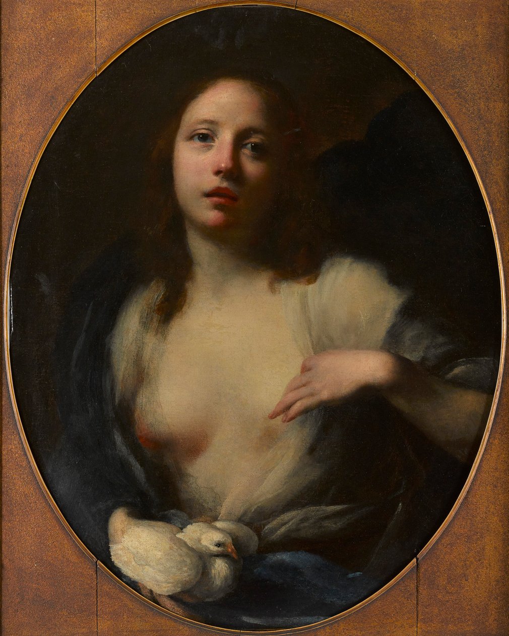 Nuoren tytön maalaus valkoisella kyyhkyllä (öljy kankaalle) tekijältä Baldassare (1611 89) Franceschini