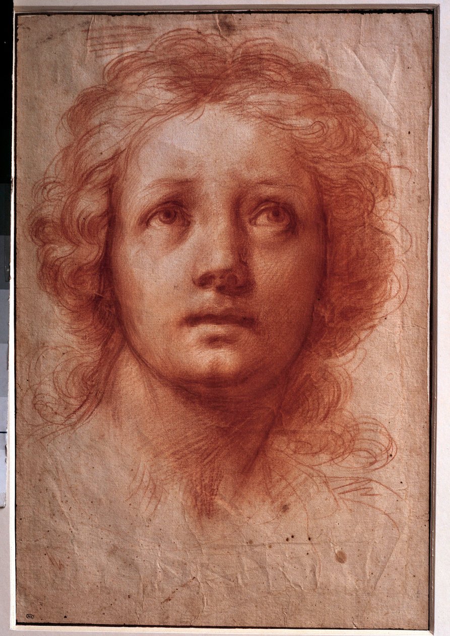 Tutkimus naisen päästä, kiinteä katse kääntyy ylöspäin Franceschini Baldassare dit il Volterrano (1611-1689) piirros musteella ja pesulla. 17. vuosisata. Himmeä. 0,42x0,28m. Pariisi, Louvre-museo tekijältä Baldassare  Franceschini