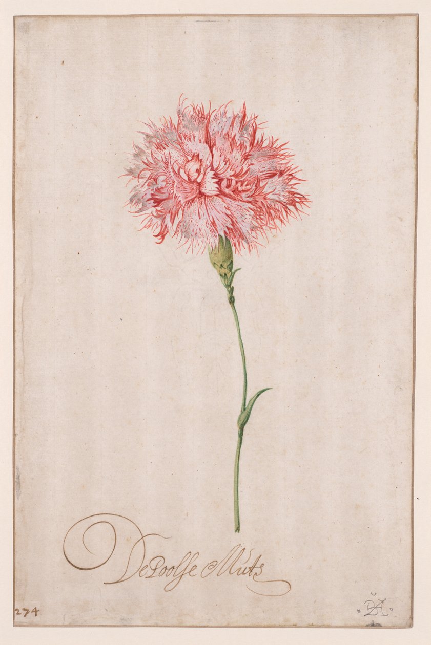 Puolan hattu tekijältä Balthasar van der Ast