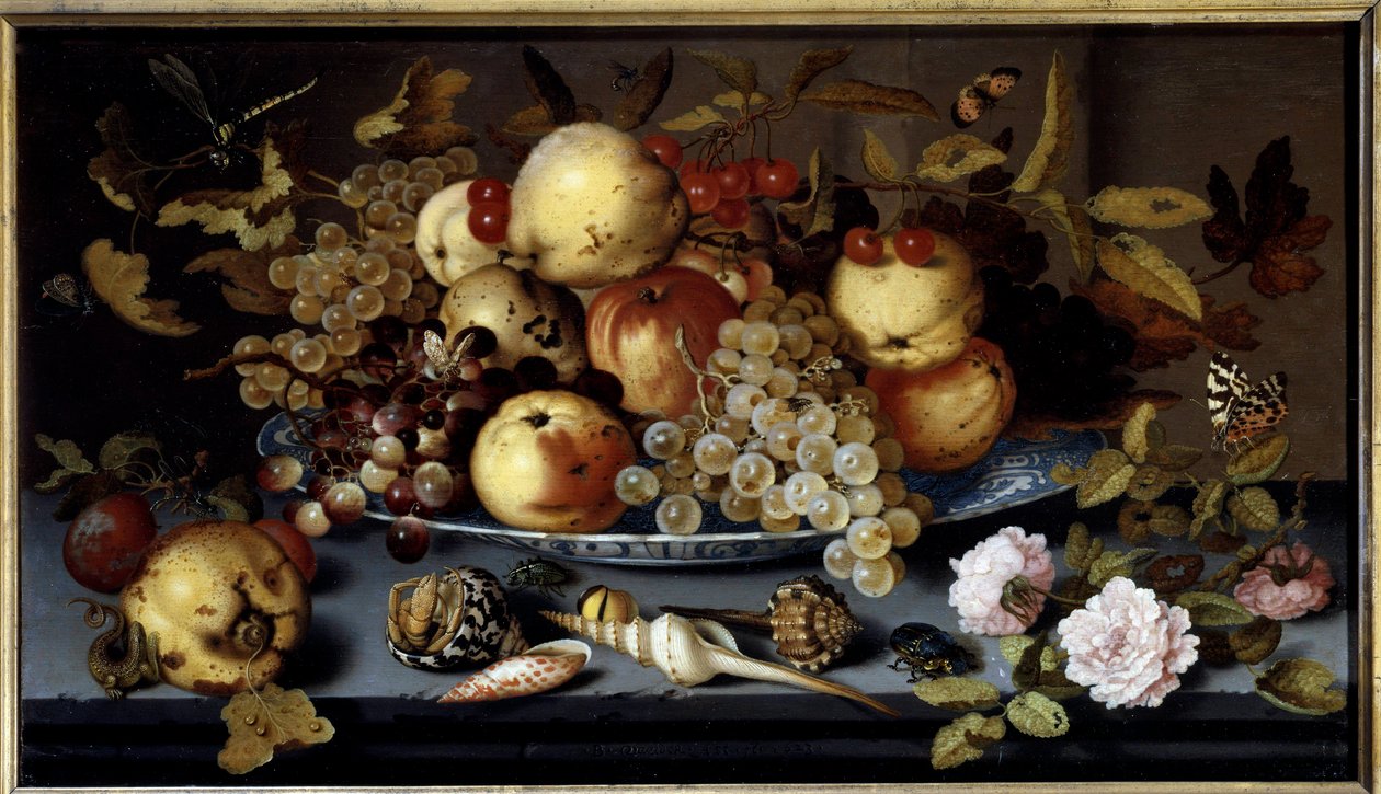Hedelmien, kukkien, kuorien ja hyönteisten asetelma. Balthasar Van Der Astin (1590-1656) maalaus Ec. Hol tekijältä Balthasar van der Ast