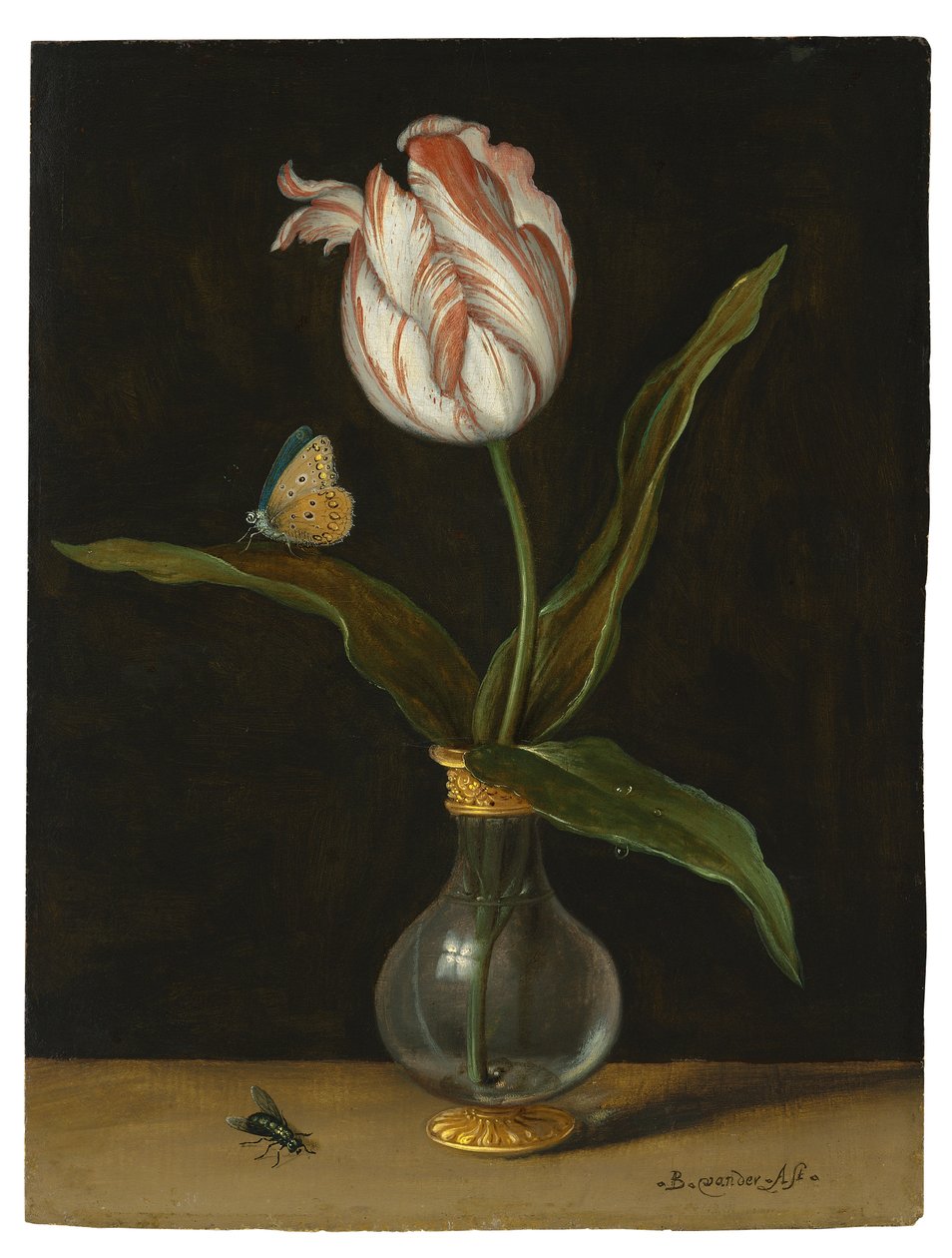 Tulppaani "Summer Beauty" (öljy kankaalle) tekijältä Balthasar van der Ast