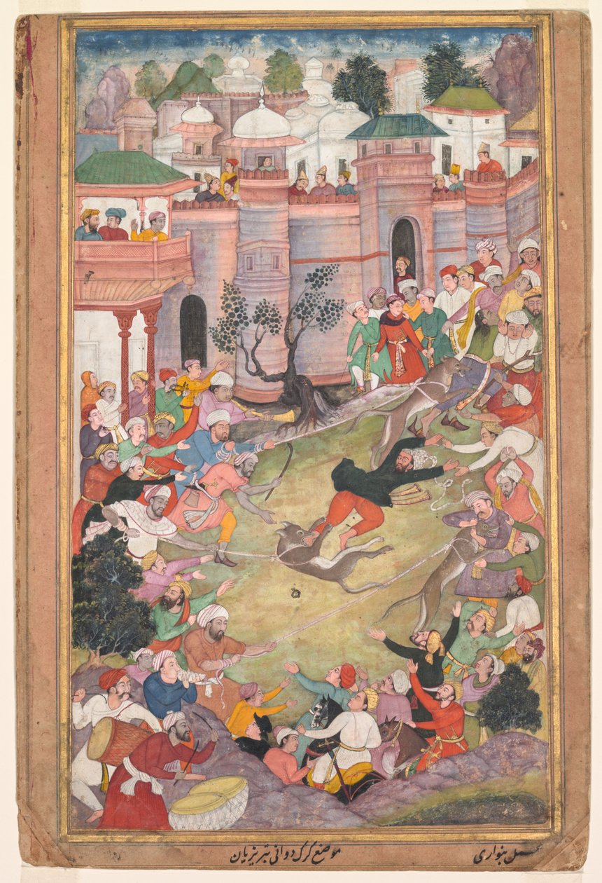 Suden juoksupeli Tabrizissa, Akbar-namasta (Akbarin kirja) tekijältä Banavari 1
