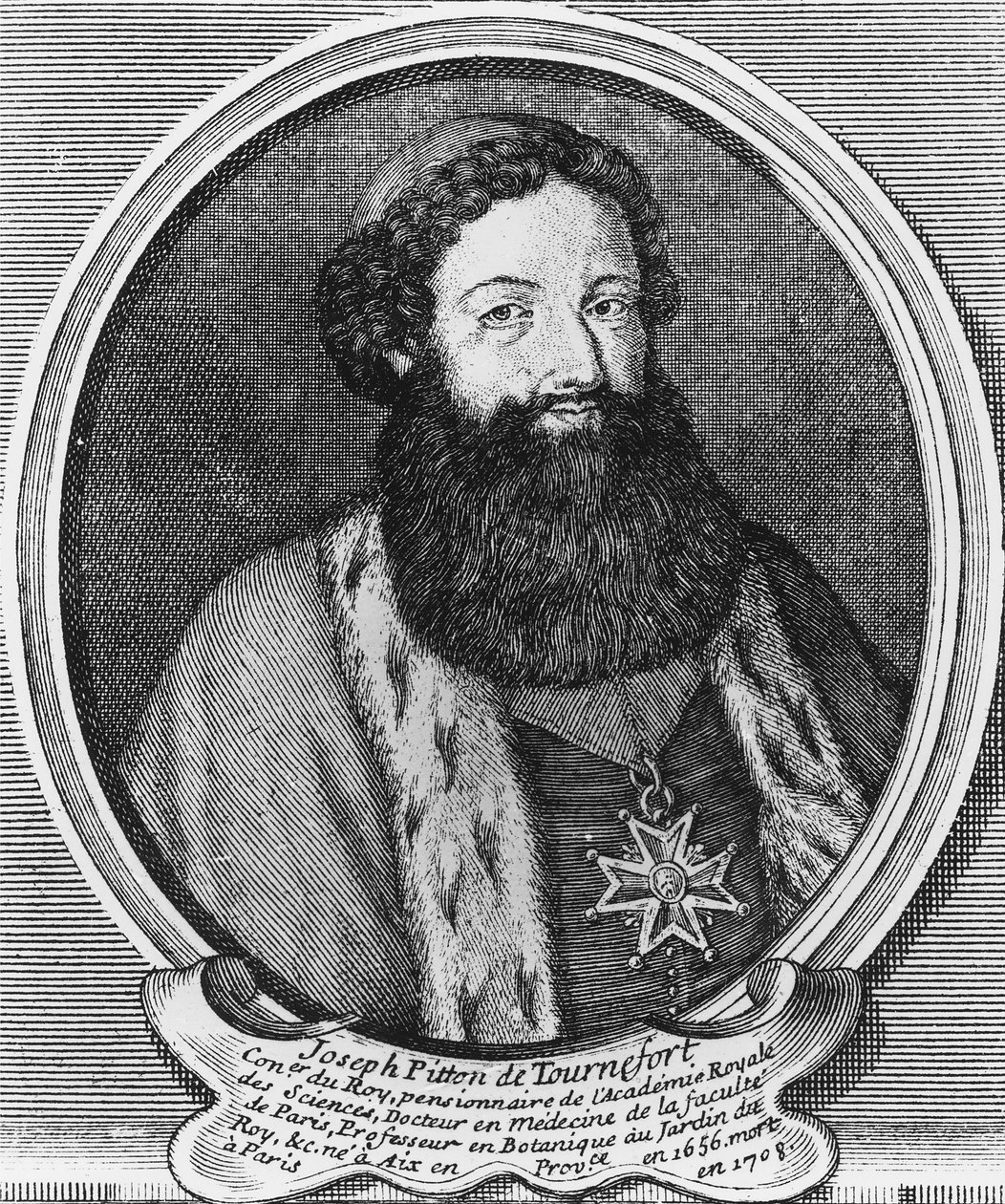Joseph Pitton de Tournefortin kaiverrus tekijältä Baptistin Martin