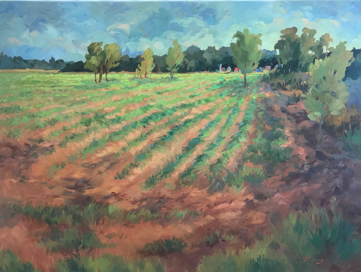  tekijältä Barbara Cleary