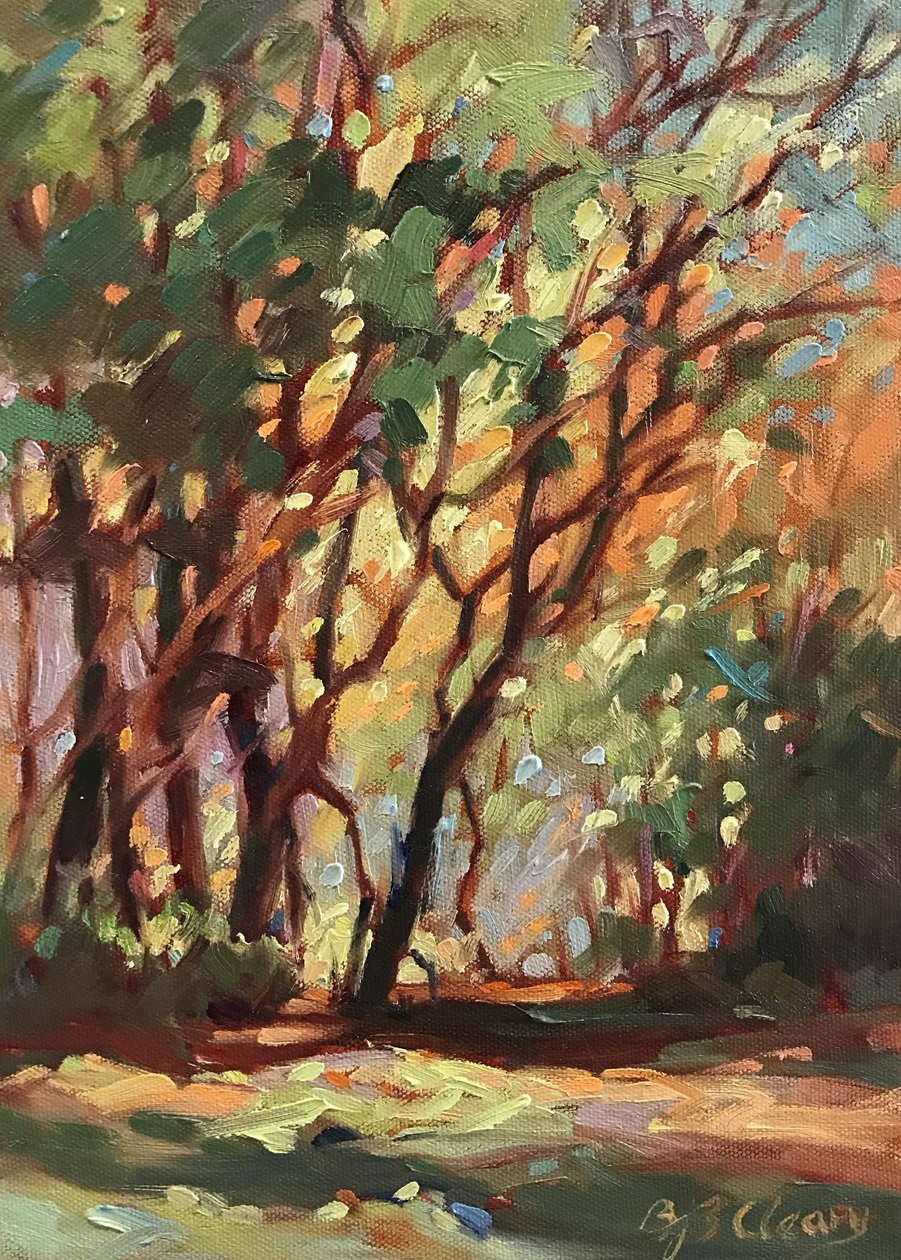  tekijältä Barbara Cleary