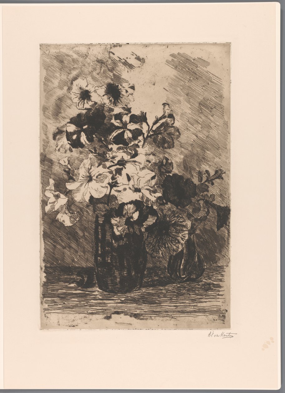 Petuniat kahdessa maljakossa tekijältä Barbara Elisabeth van Houten (signed by artist)