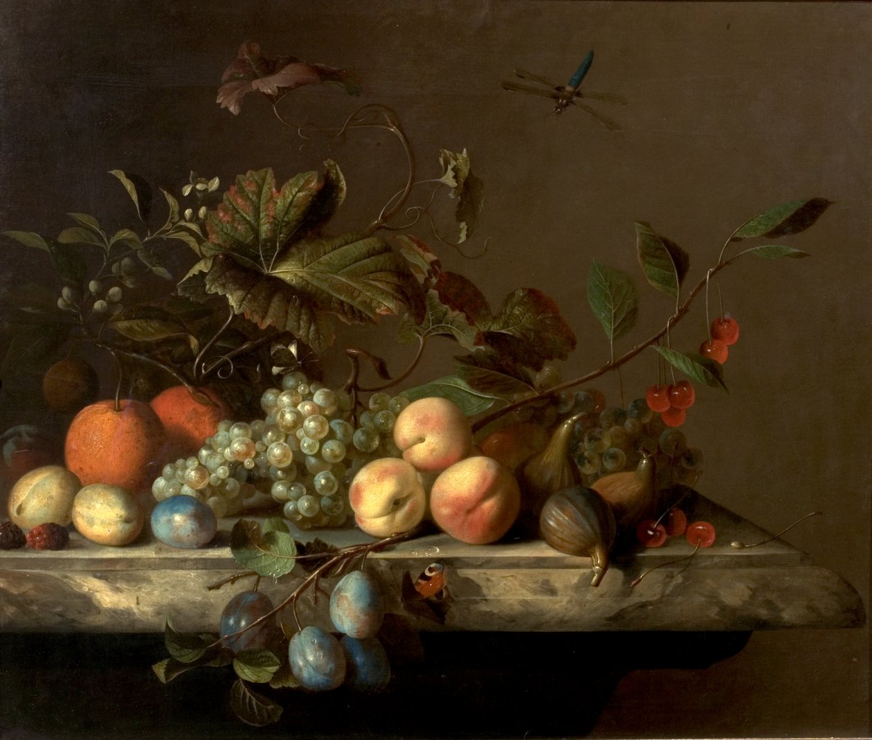 Hedelmäpala sudenkorennolla, 1692 tekijältä Barend or Bernardus van der Meer