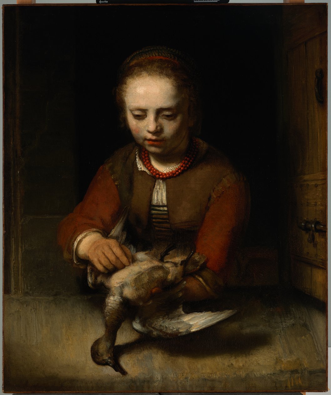 Nuori tyttö kynimässä ankkaa, n. 1650 (öljy kankaalle) tekijältä Barent Fabritius