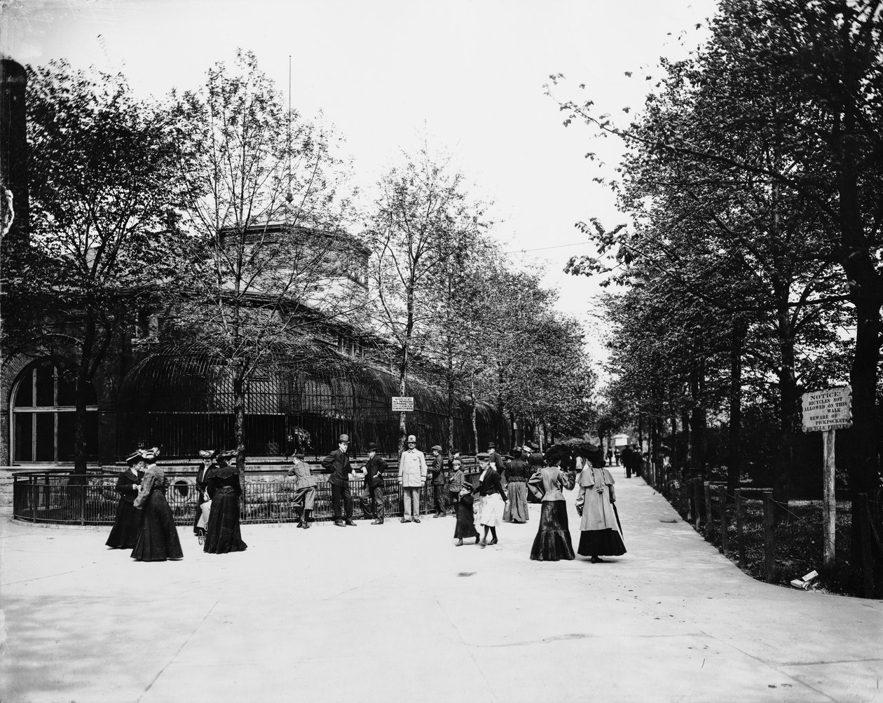 Lincoln Parkin eläintarha, Chicago, Illinois, USA, n. 1900 (b/w valokuva) tekijältä Barnes and Crosby