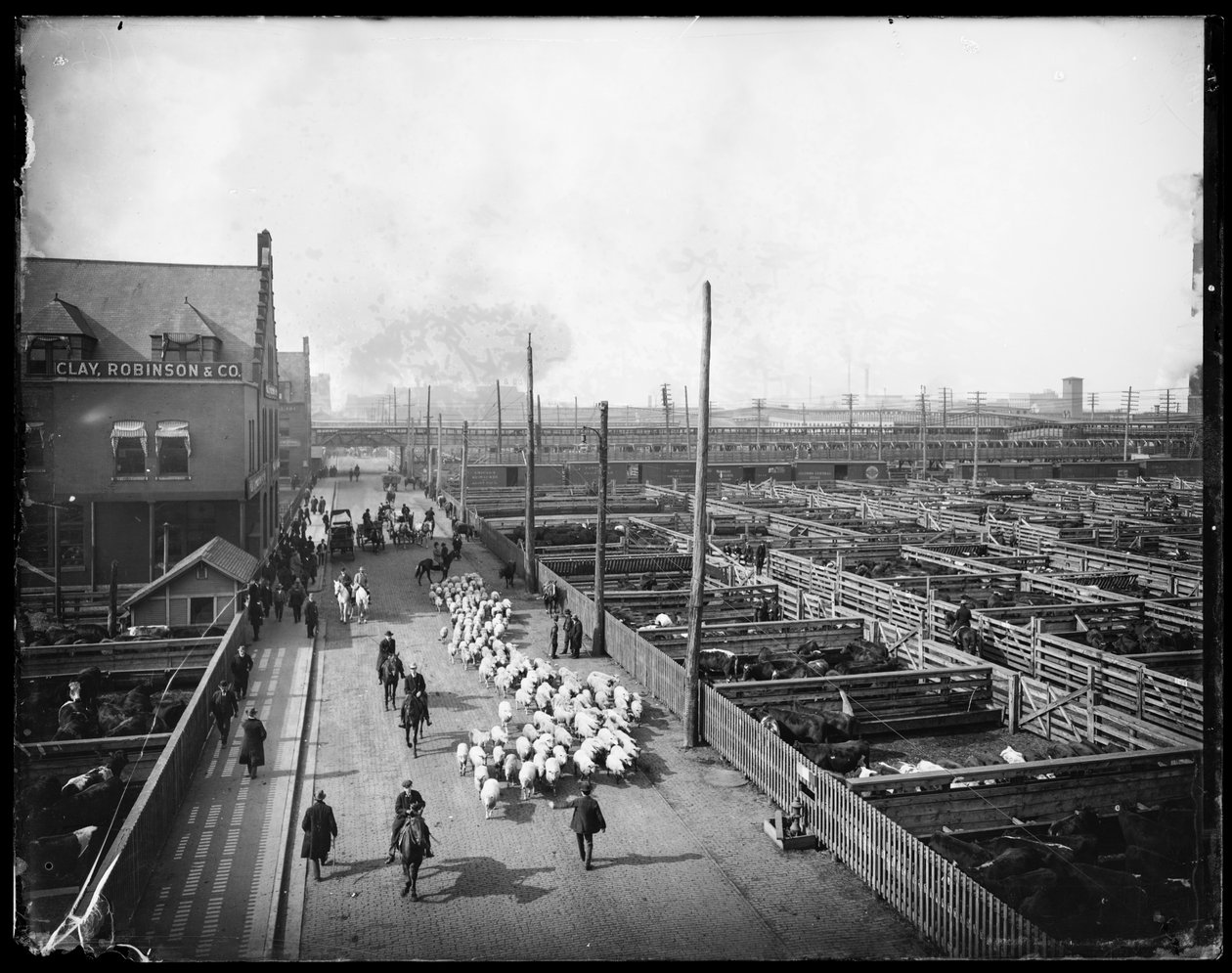 Union Stock Yards, Chicago, Illinois, USA, noin 1910 (s/w-kuva). tekijältä Barnes and Crosby