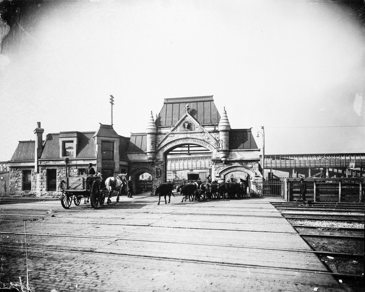 Union Stock Yards -portti Exchange Avenuella, Chicagossa, Illinoisissa, USA:ssa, n. 1905 (b/w kuva) tekijältä Barnes and Crosby