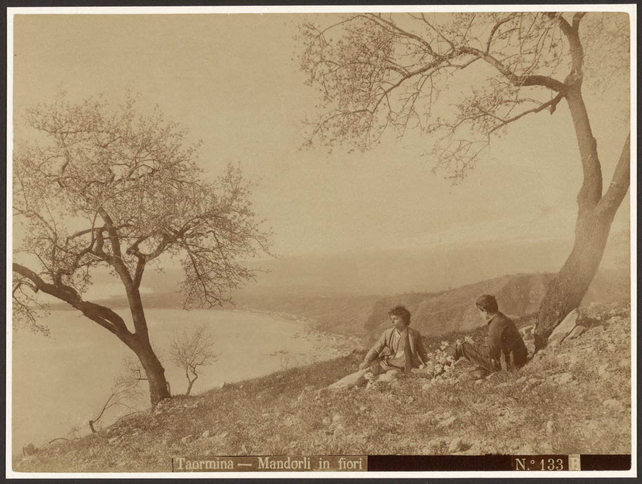 Kukkivat mantelit, Taormina tekijältä Baron Wilhelm von Gloeden