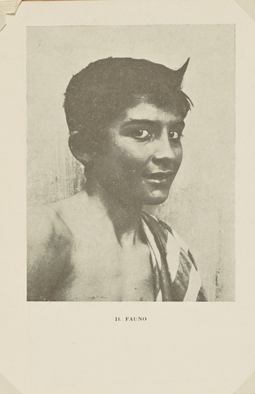 Fauni tekijältä Baron Wilhelm von Gloeden