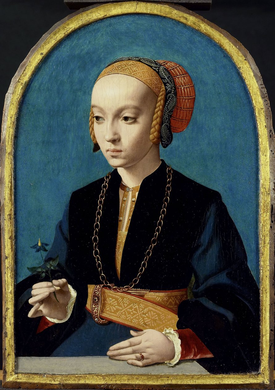 Elisabeth Bellinghausenin muotokuva (n. 1520 - vuoden 1570 jälkeen) tekijältä Bartholomäus Bruyn (I)