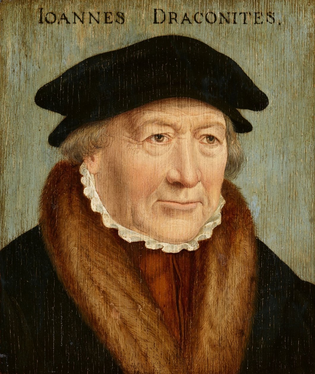 Johannes Draconitesin muotokuva tekijältä Bartholomaeus Bruyn the Elder