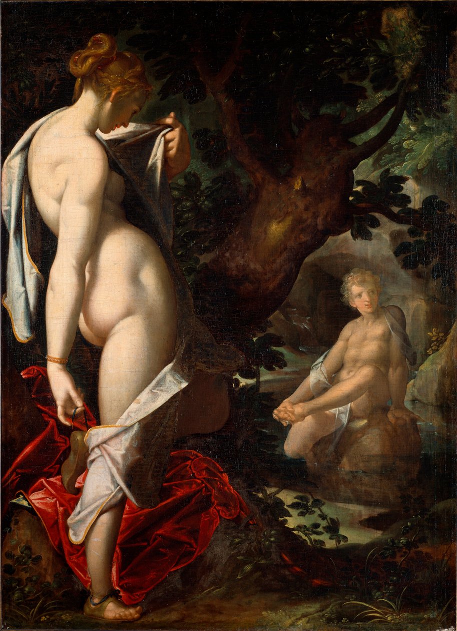 Naiad Salmacis ihailemassa Hermafrodiittia kylpemässä lähteessä (Maalaus tekijältä Bartholomaeus Spranger