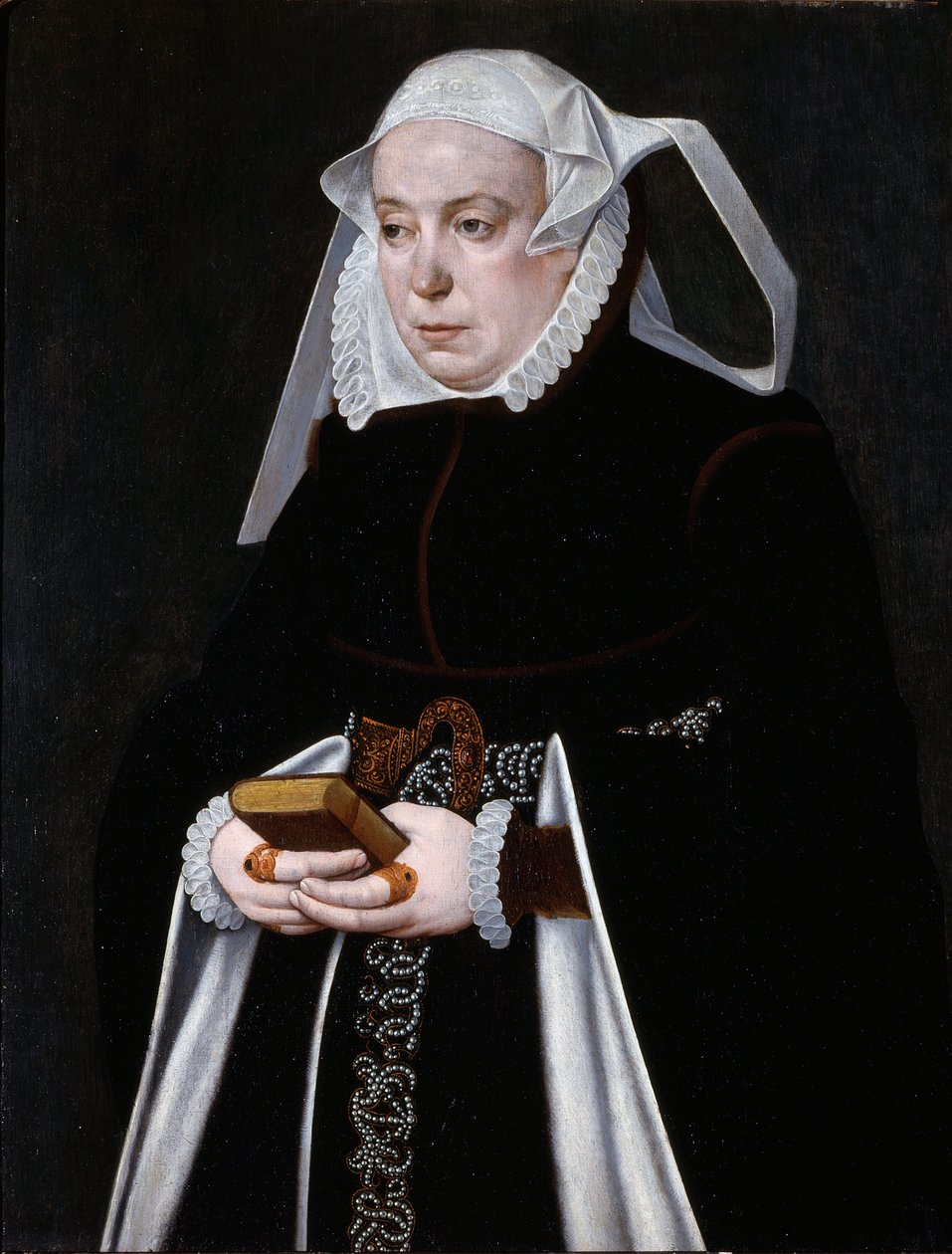 Naisen muotokuva, noin 1560-70 (öljy paneelille). tekijältä Bartholomaus the Younger Bruyn
