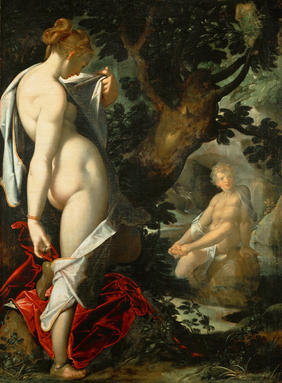 Saksa: Hermaphroditus und die Nymphe Salmacis Hermaphroditus ja nymfi Salmacis tekijältä Bartholomeus Spranger