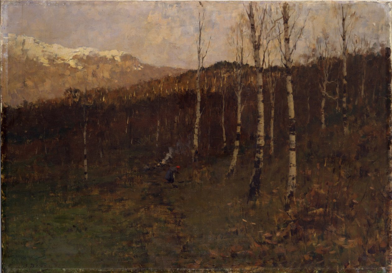 Bosco ceduo Bosco di betulle tekijältä Bartolomeo Bezzi
