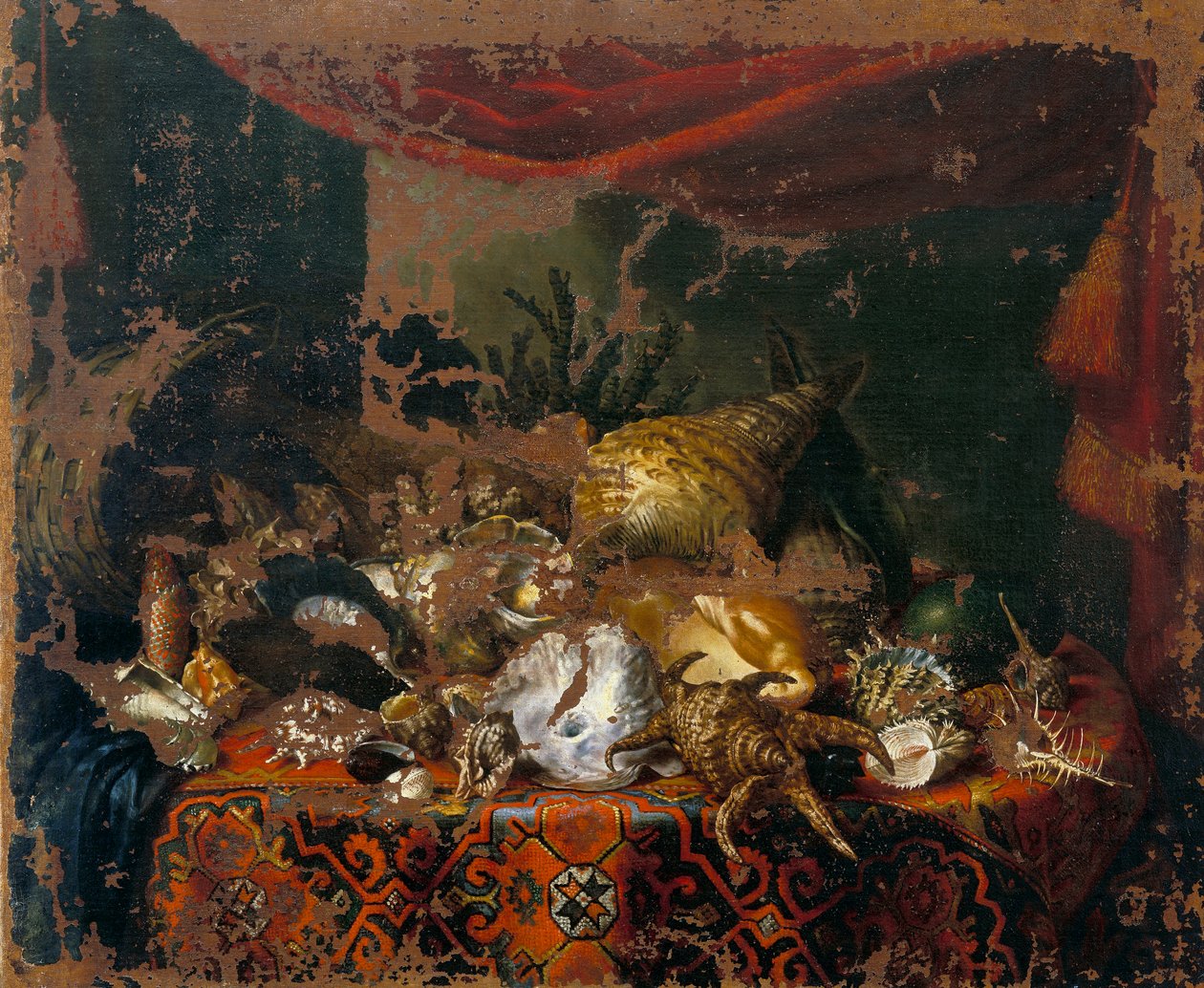 Kuoret tekijältä Bartolomeo Bimbi