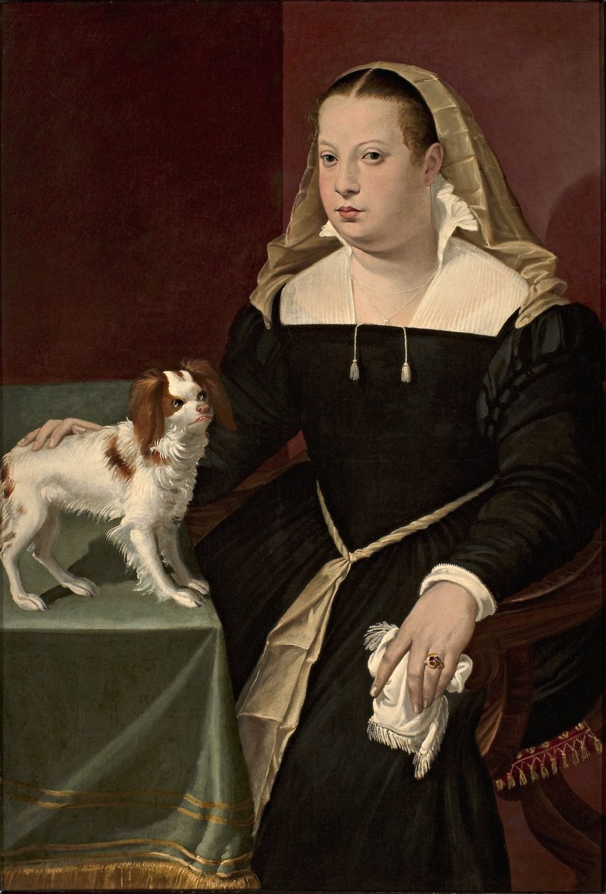 Ritratto di dama con cagnolino tekijältä Bartolomeo Passarotti