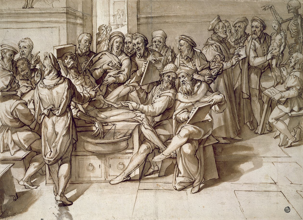 Anatomian oppitunti (kynä ja muste) tekijältä Bartolomeo Passarotti